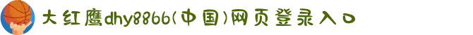 大红鹰dhy8866(中国)网页登录入口